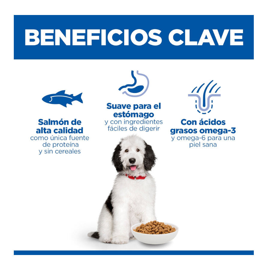 14 kg Hill's Science Plan Hipoalerg&eacute;nico Large Salm&oacute;n pienso para perros, , large indicador imagen numero 3