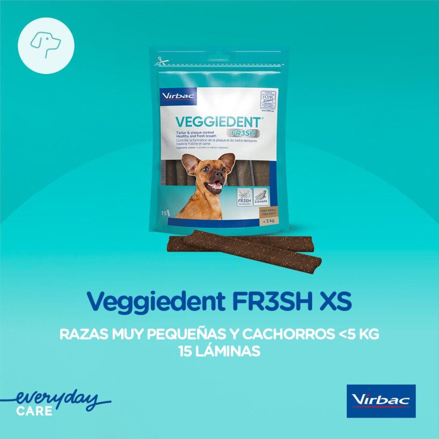 15 barritas Virbac Snacks Dentales VeggieDent Fresh para perros Toy, , large indicador imagen numero 3