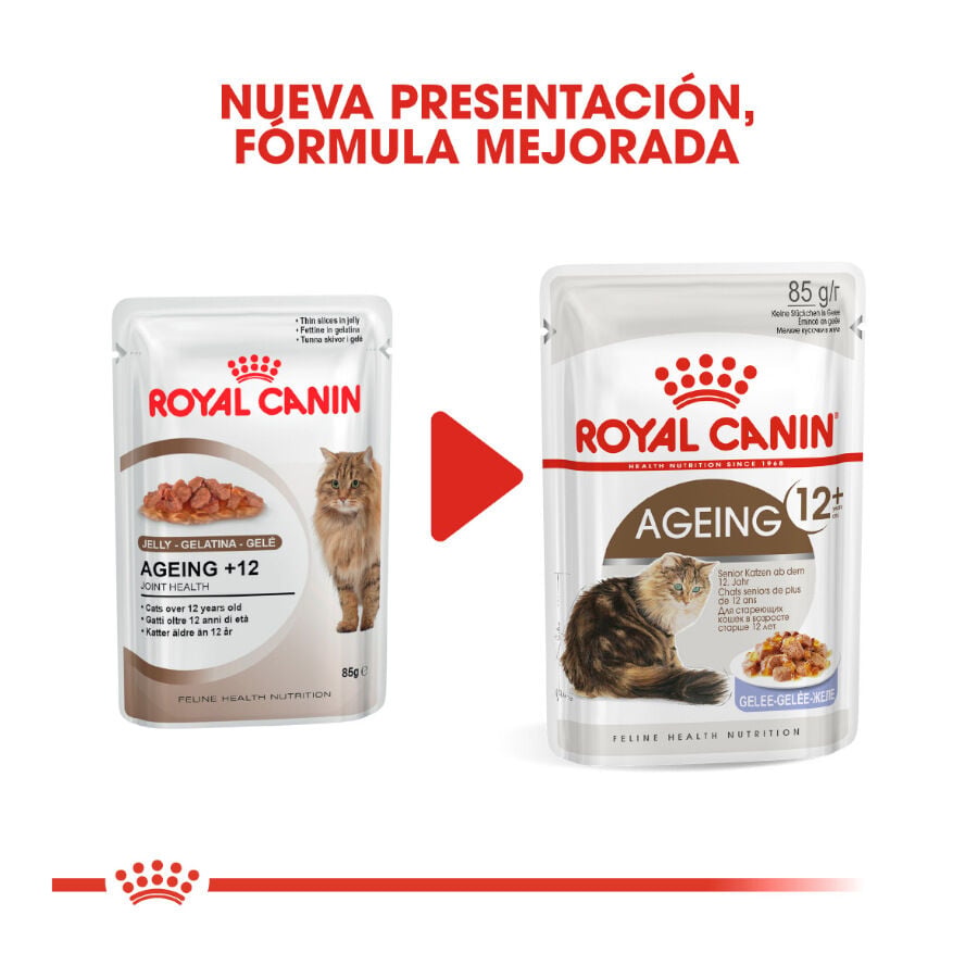 85 g Royal Canin Ageing 12+ gelatina sobres para gatos&nbsp;senior, , large Imagen numero 3