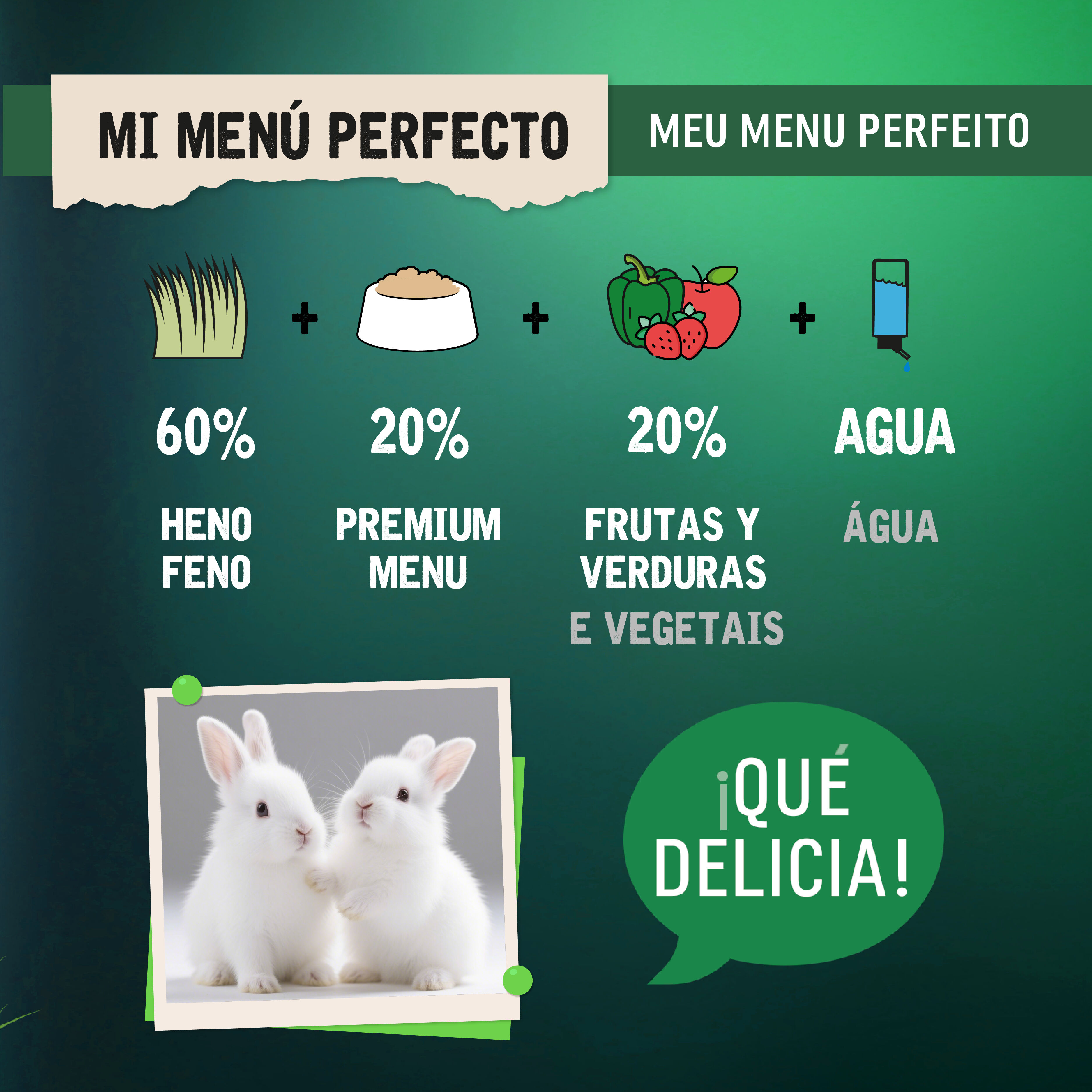 4 kg Small Life Selection Premium Men&uacute; Pienso para conejos junior, , large Imagen numero 5