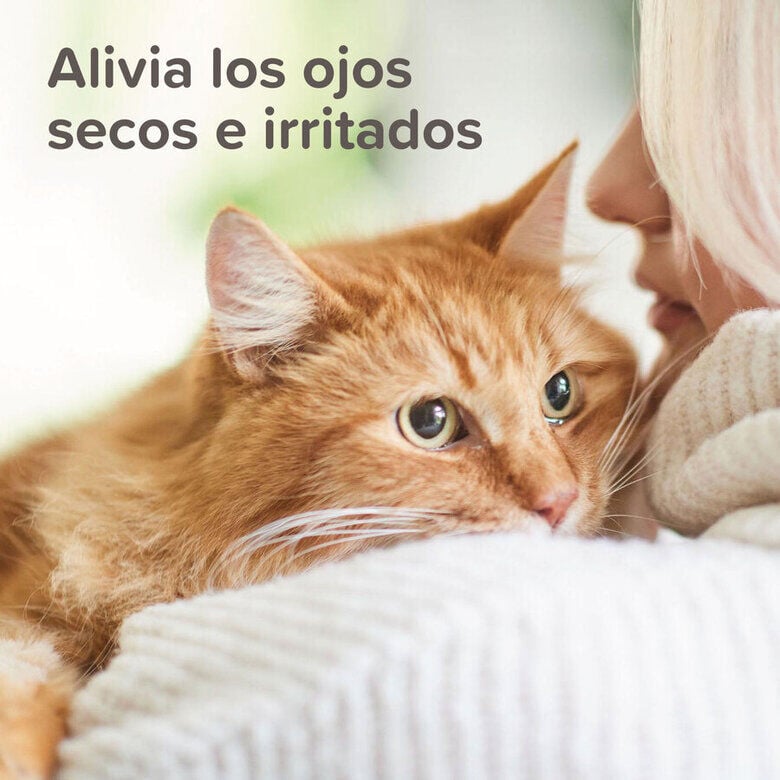 Beaphar Gel Ocular para mascotas, , large Imagen numero 5