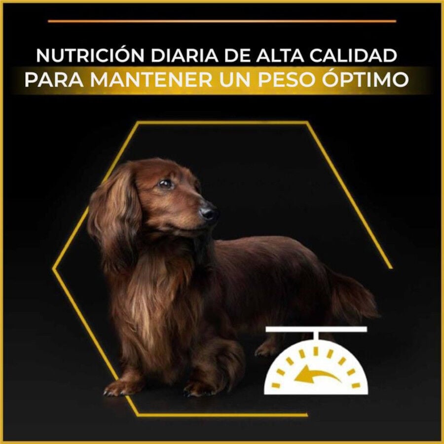 Purina Pro Plan Adult Light Esterilizado Pienso Pollo para perros, , large indicador imagen numero 3