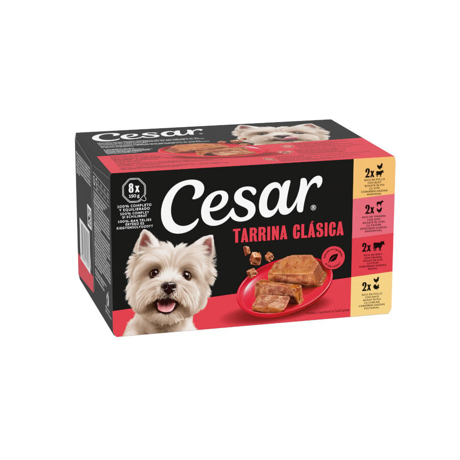 8 tarrinas x 150 g Cesar Selecci&oacute;n Clasicos Tarrina en Pat&eacute; para Perros , , large indicador imagen numero 1