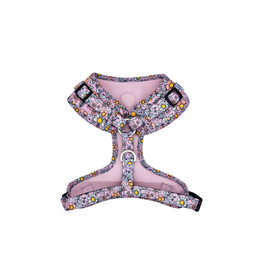Dukier Flower Power Arn&eacute;s Ajustable para perros, , large Imagen numero 3