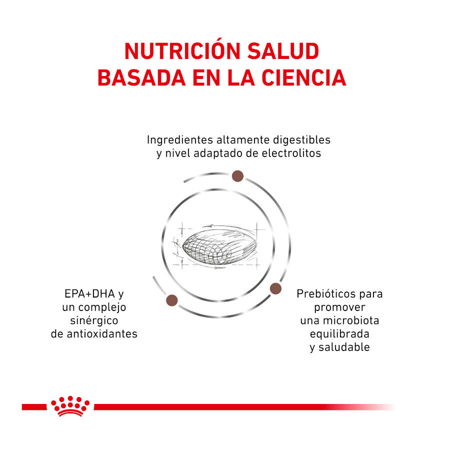 2 kg Royal Canin Veterinary Gastrointestinal Hairball pienso para gatos, , large indicador imagen numero 3