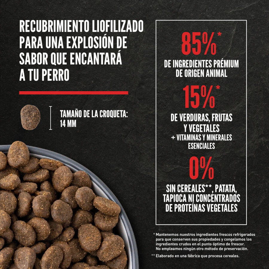 Orijen Tundra Pienso Seco Cordero y Ciervo para perros, , large Imagen numero 5