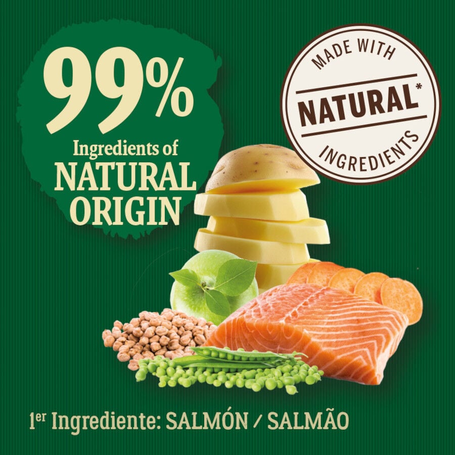 6 kg True Origins Wild Esterilizado Pacific Salm&oacute;n pienso para gatos, , large Imagen numero 3