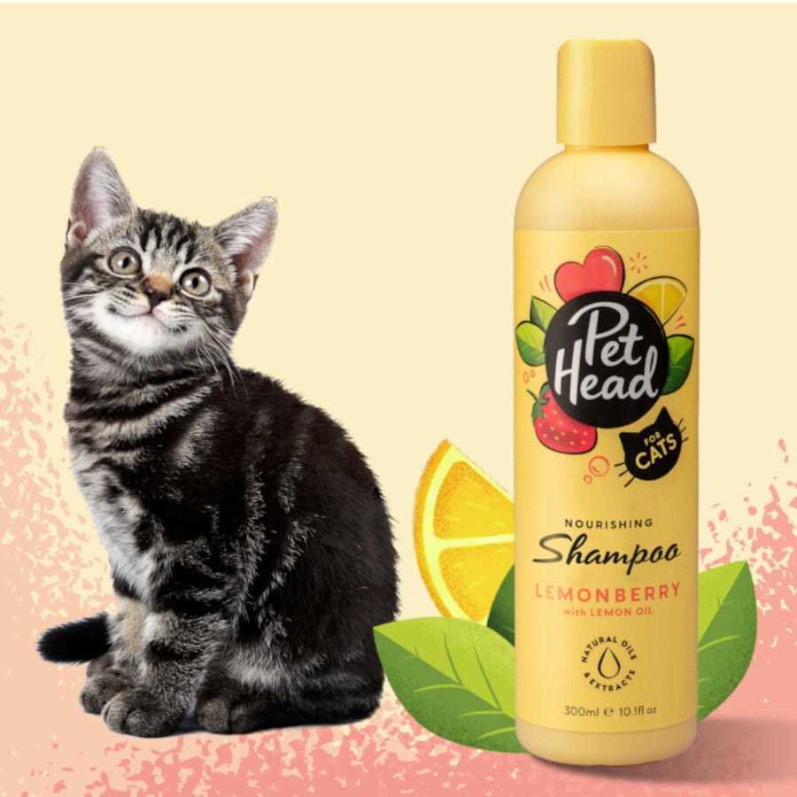 Pet Head champ&uacute; nutritivo de fresa/lim&oacute;n para gatos, , large indicador imagen numero 2