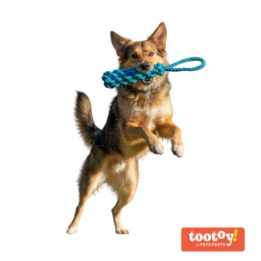 Tootoy! Mordedor de Cuerda Azul para perros, , large indicador imagen numero 8