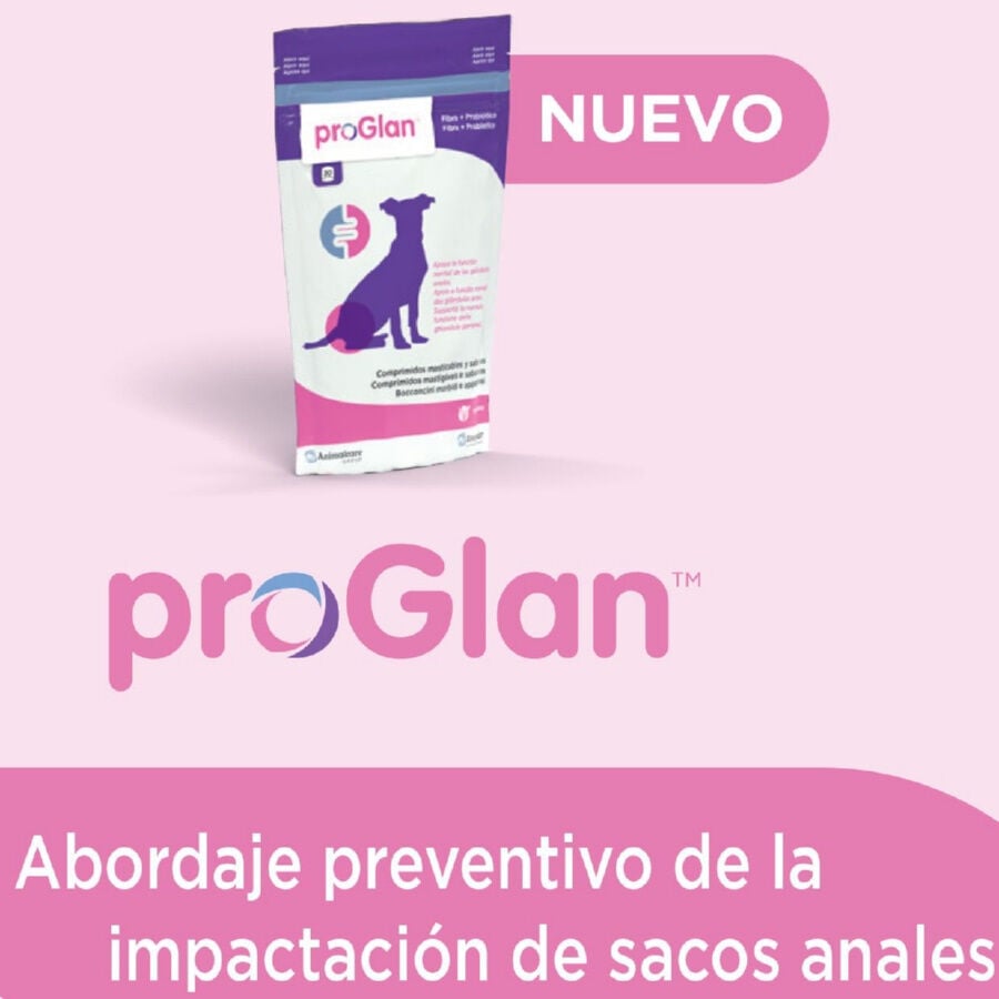 30 comprimidos Ecuphar Proglan Suplemento para perros, , large Imagen numero 2