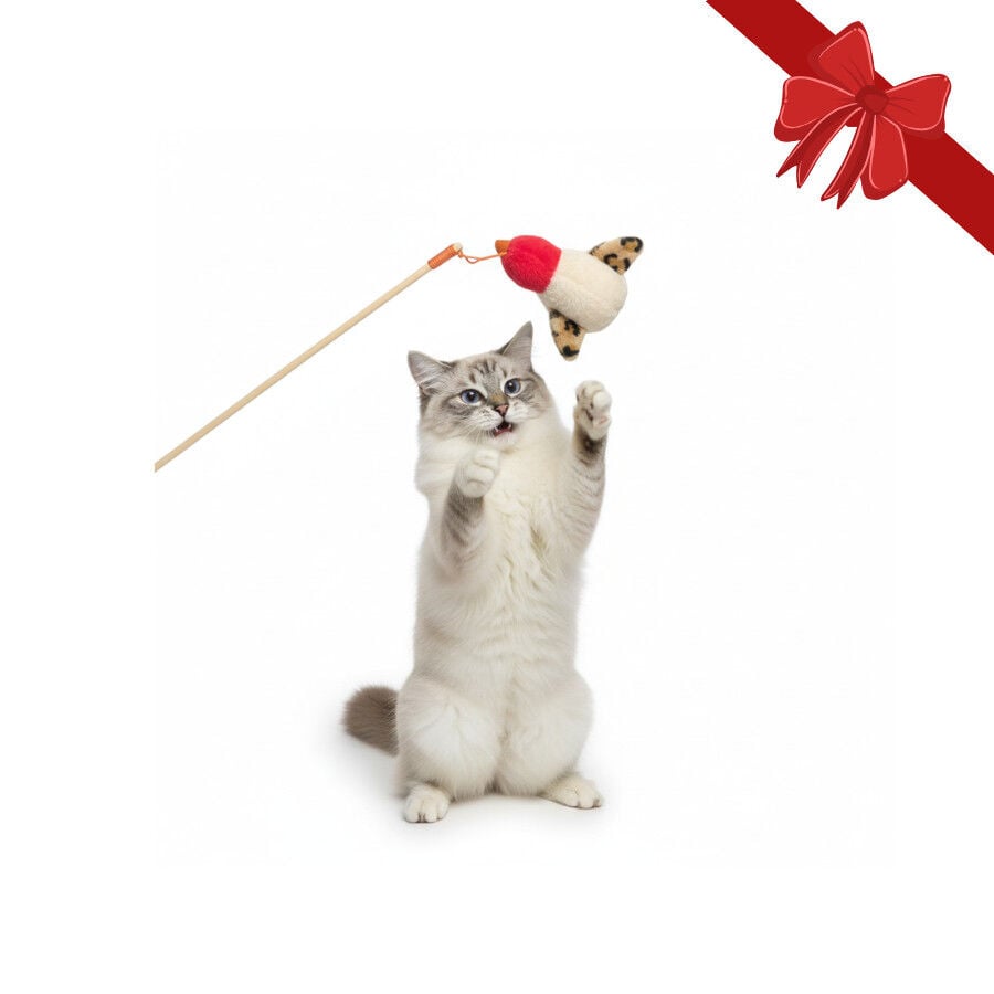 Wonder Christmas Juguete Ca&ntilde;a Navide&ntilde;a para gatos, , large indicador imagen numero 1