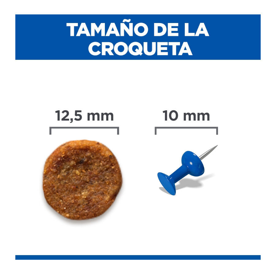 12 kg Hill's Science Plan Perfect Weight y Active Mobility pollo pienso para perros medianos, , large Imagen numero 4