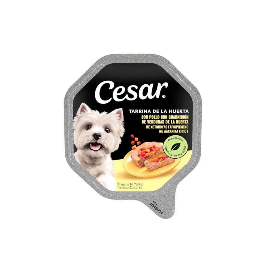 Cesar Recetas de la huerta Tarrina en Pat&eacute; y Gelatina para Perros