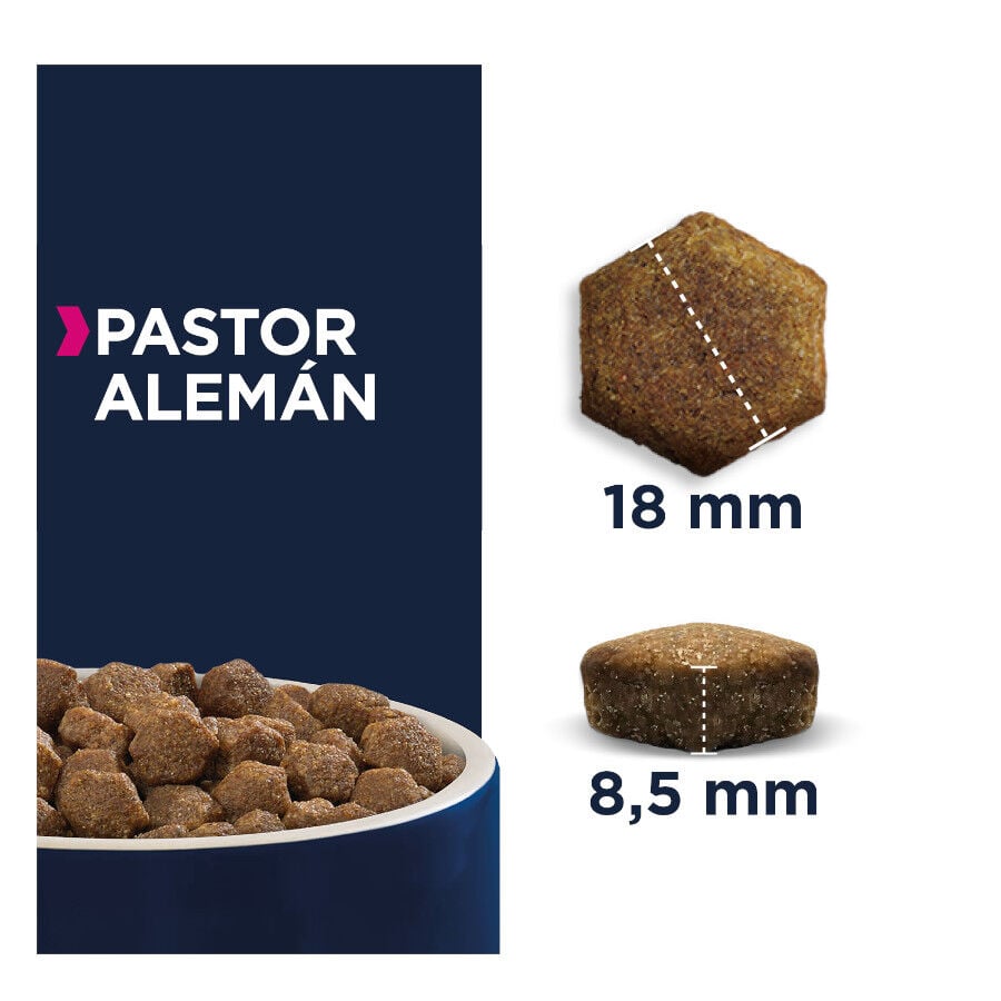 12 kg Eukanuba Adult Pastor Alem&aacute;n pienso para perros, , large Imagen numero 2