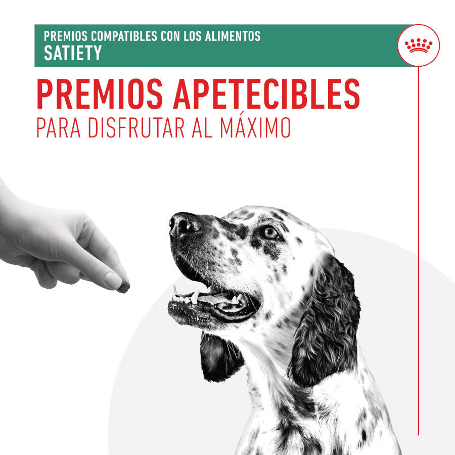 230 g Royal Canin Treats Satiefy Snacks para Perros, , large indicador imagen numero 6