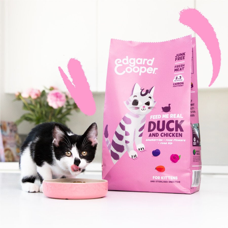 2 kg Edgard & Cooper Kitten Pato y Pollo pienso, , large Imagen numero 2