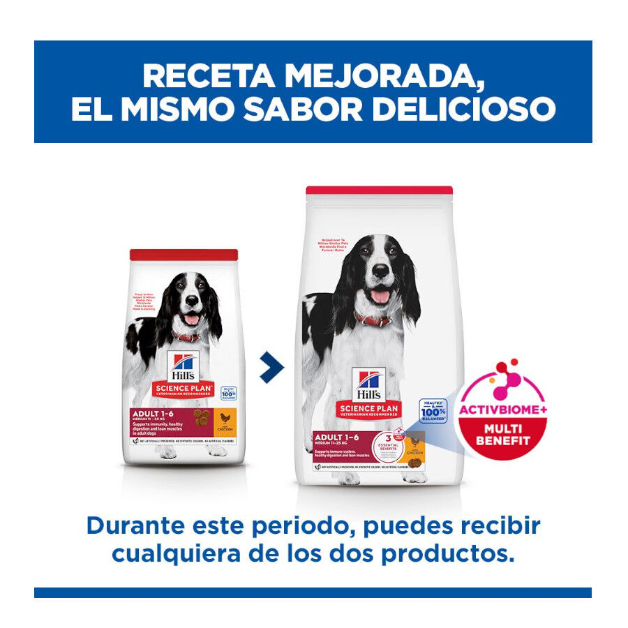 14 kg Hill's Science Plan Adult Medium Pollo pienso para perros, , large indicador imagen numero 3