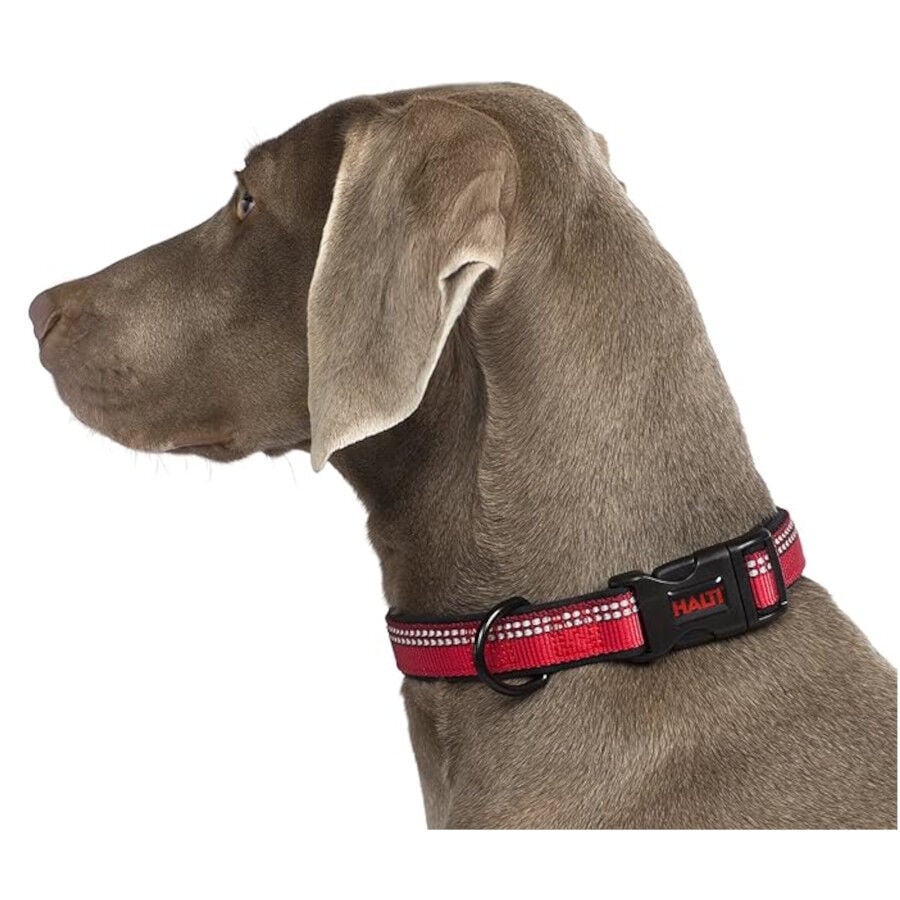 Halti collar acolchado c&oacute;modo rojo para perros, , large indicador imagen numero 2