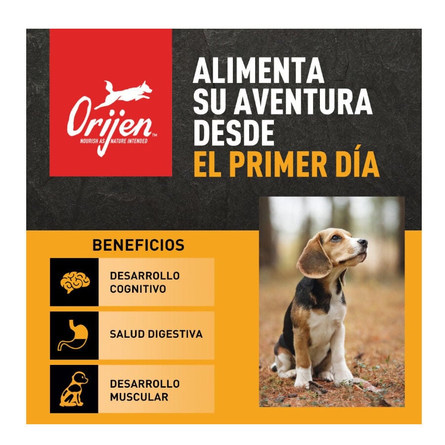 11 kg Orijen Puppy Large pienso para perros, , large indicador imagen numero 2