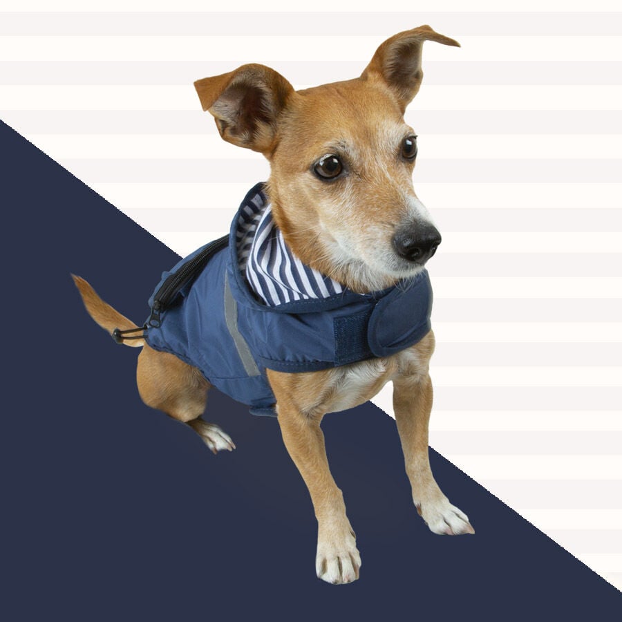 Outech Impermeable con Bolsillo Azul Marino para perros, , large indicador imagen numero 2