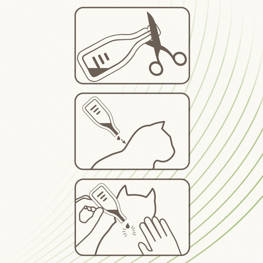 Beaphar Pipetas repelentes para gatos, , large Imagen numero 3