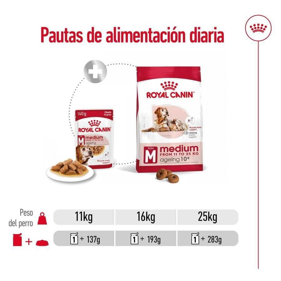 140 g Royal Canin Medium Ageing sobre en salsa para perros&nbsp;senior, , large Imagen numero 7