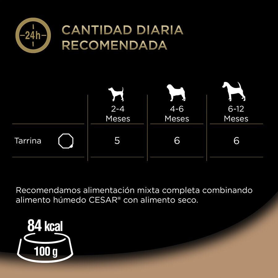 150 g Cesar Pavo y Ternera Tarrina en Gelatina para Cachorros, , large indicador imagen numero 3