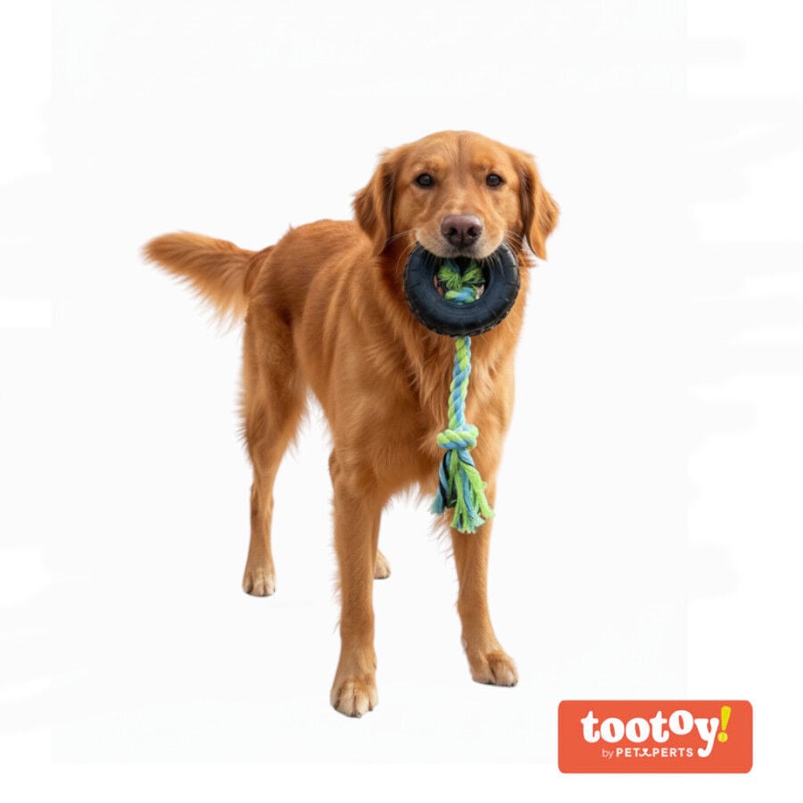 Tootoy! Mordedor Neum&aacute;tico de Goma con Cuerda para perros, , large indicador imagen numero 8