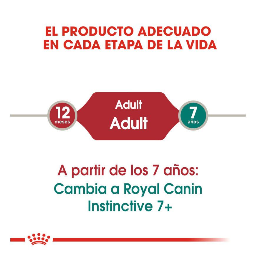 85 g Royal Canin Instinctive sobres en salsa para gatos, , large Imagen numero 6