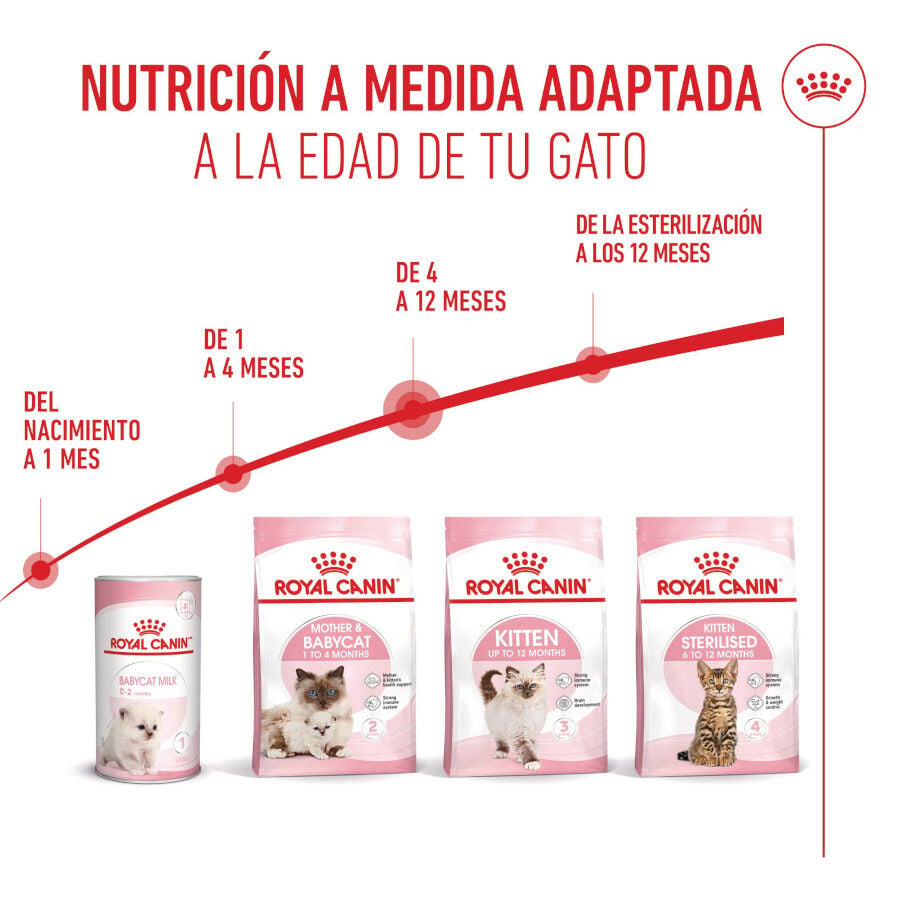4 kg Royal Canin Kitten pienso para gatos, , large indicador imagen numero 10