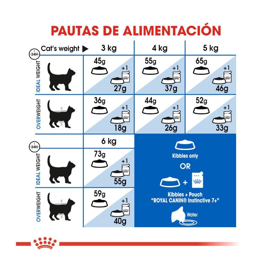 3.5 kg Royal Canin Home Life Indoor 7+ pienso para gatos, , large Imagen numero 8