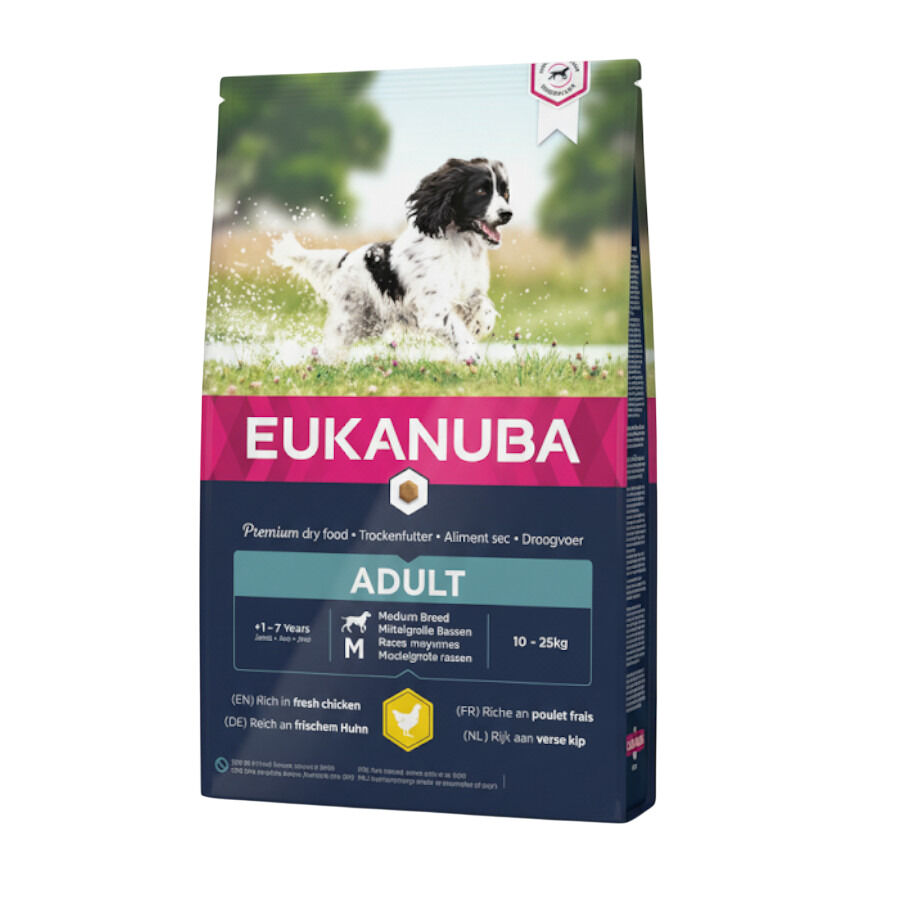 15 kg Eukanuba Adult Medium Pollo pienso para perros, , large indicador imagen numero 3