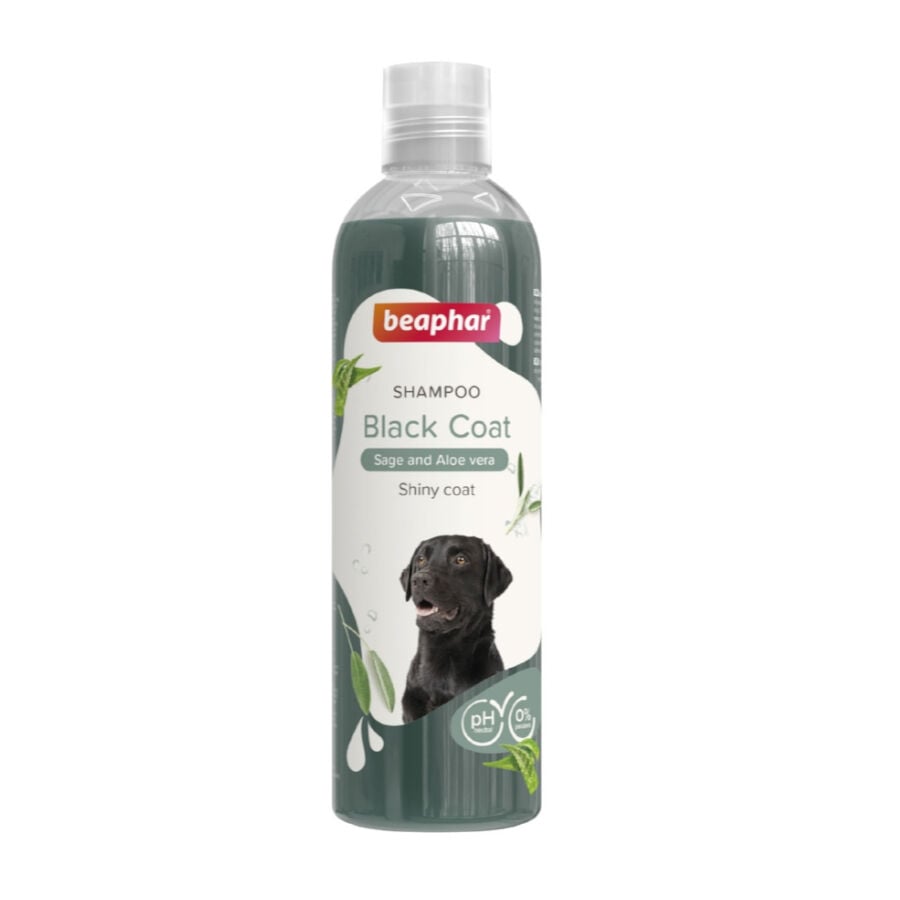 Beaphar Pelo Negro Champ&uacute; para perros, , large Imagen numero 1