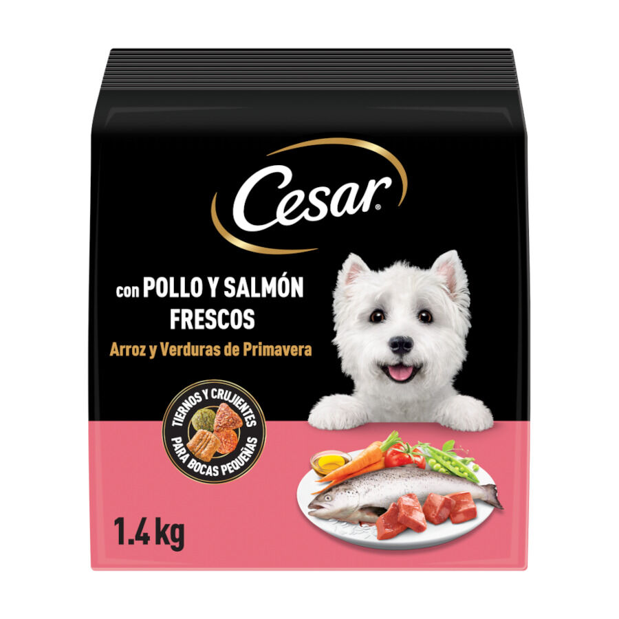1.4 kg Cesar Pollo y Salm&oacute;n Frescos pienso semih&uacute;medo para perros, , large Imagen numero 1