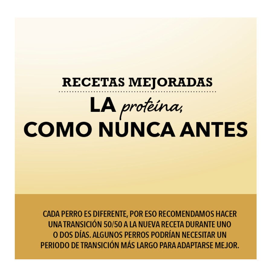 11.4 kg Acana Ranchlands Carnes Rojas pienso para perros, , large indicador imagen numero 5
