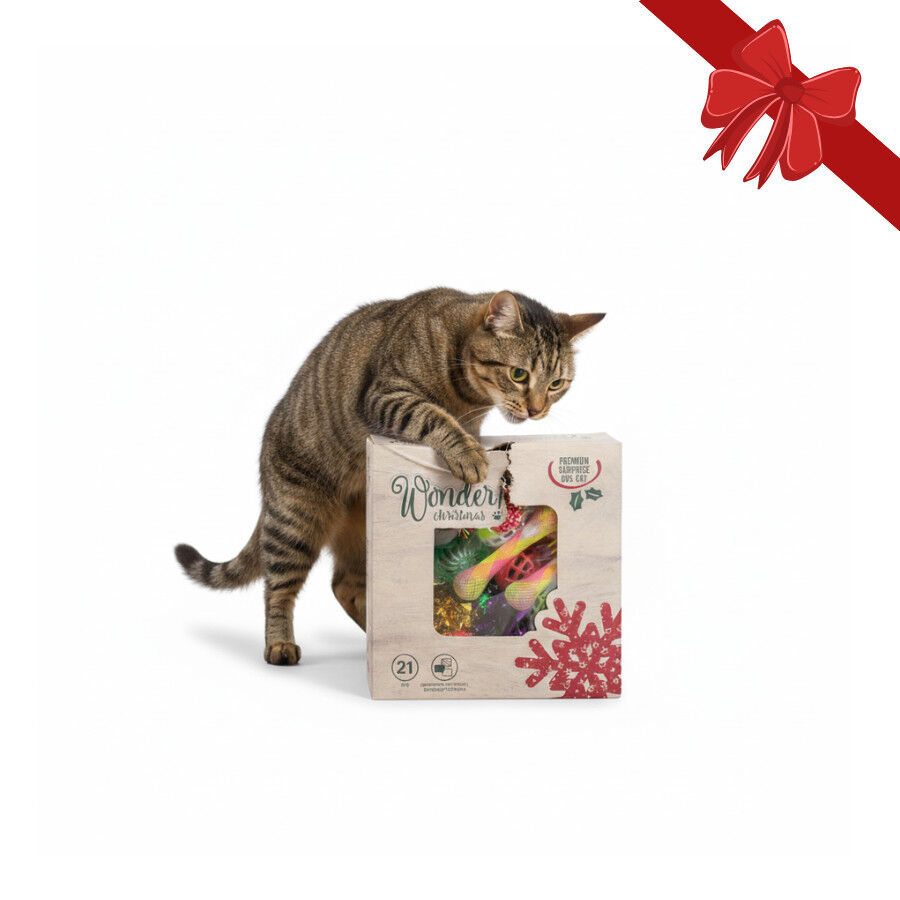 Wonder Christmas Caja de Juguetes Sorpresa Navide&ntilde;os para gatos, , large Imagen numero 1