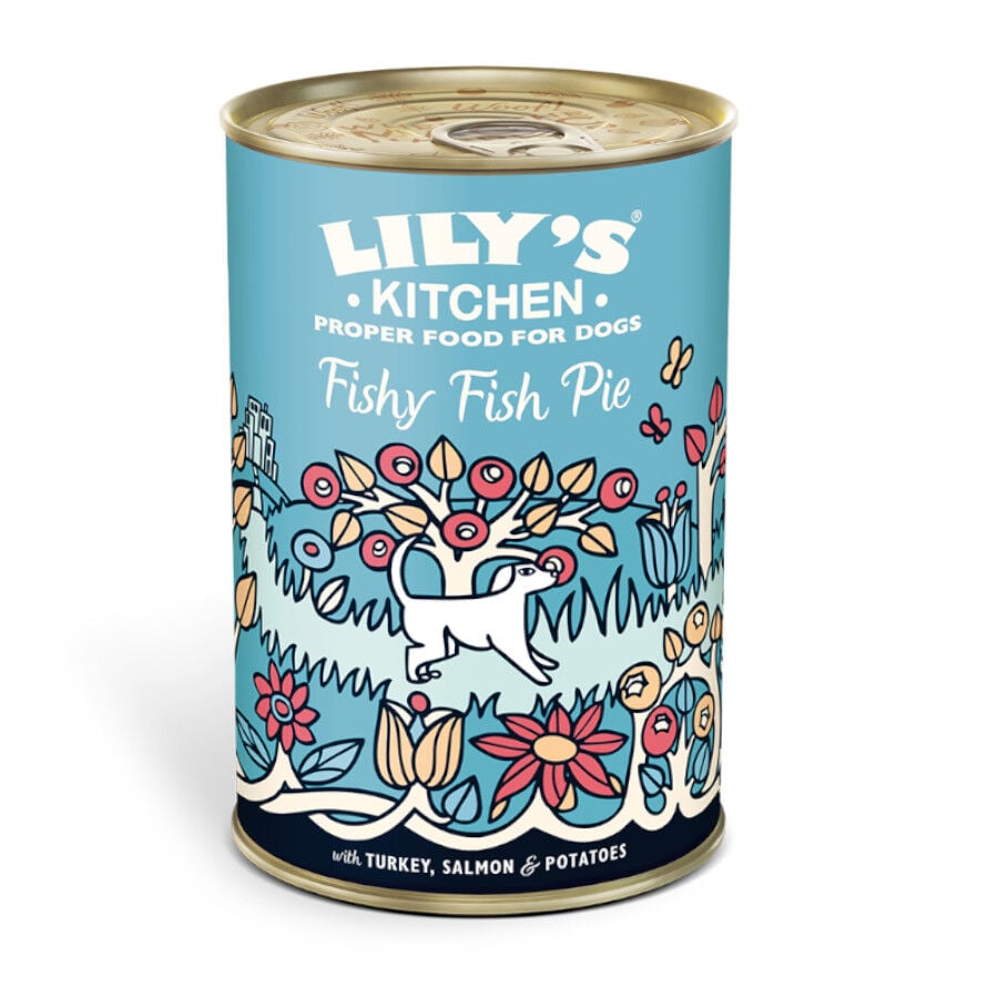400 g Lily's Kitchen Salm&oacute;n y Arenque lata para perros, , large indicador imagen numero 1