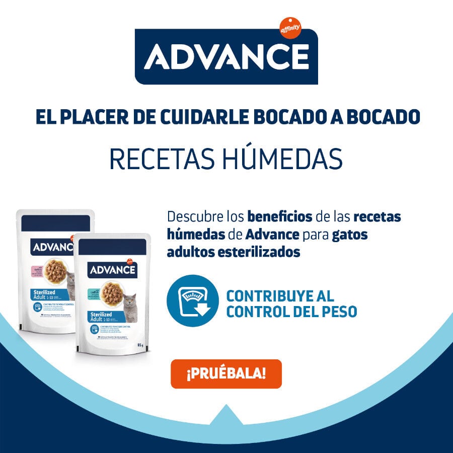 12 sobres x 85 g (9 + 3 &iexcl;gratis!) Advance Sterilized Adult Bacalao sobres para gatos, , large Imagen numero 4