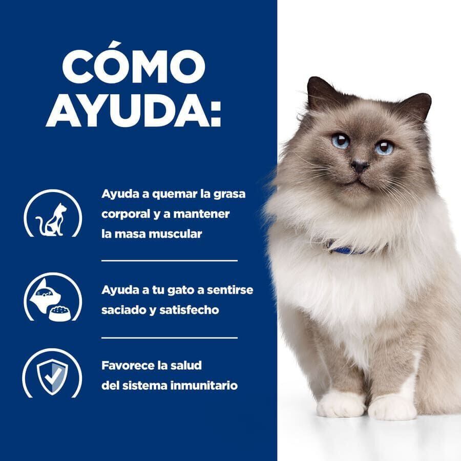 3 kg Hill's Prescription Diet Weight Loss Pollo pienso r/d para gatos, , large indicador imagen numero 4