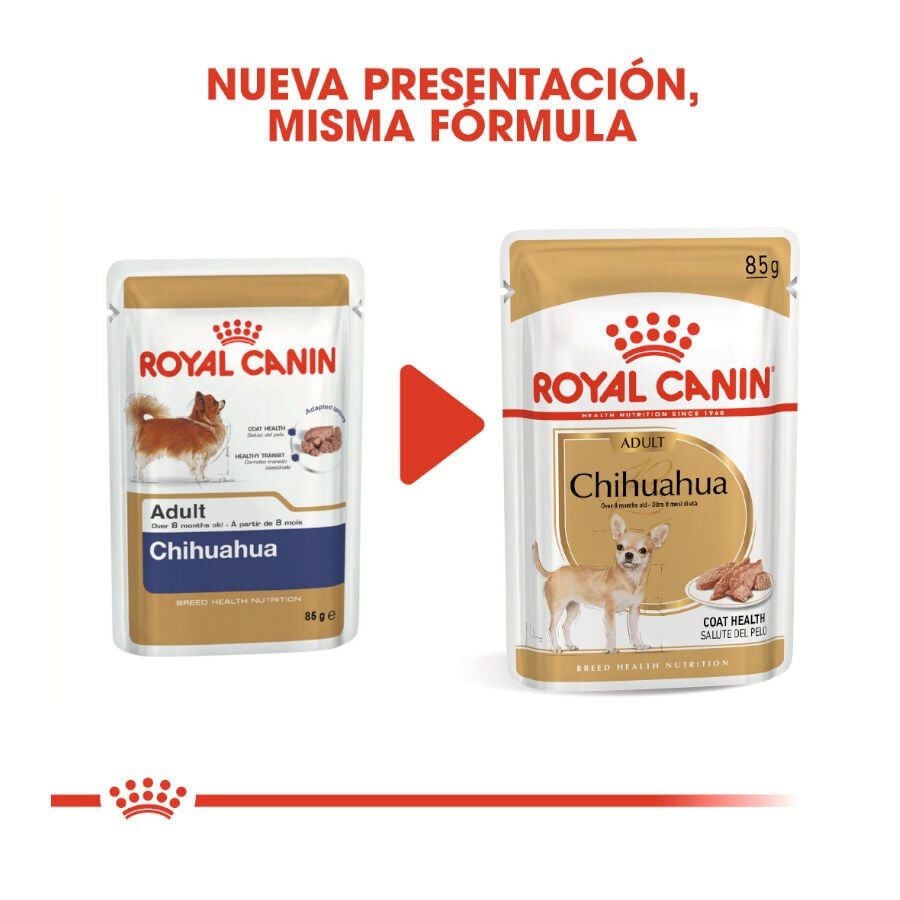 85 g Royal Canin Adult Chihuahua pat&eacute; en sobre para perros, , large indicador imagen numero 3