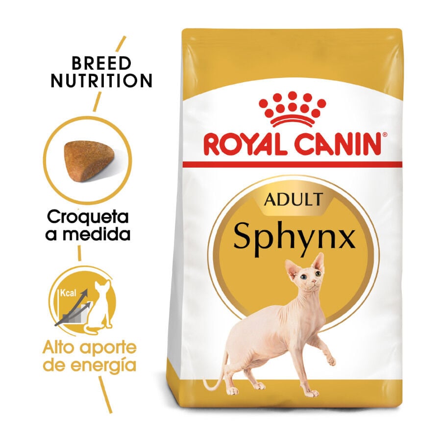 10 kg Royal Canin Adult Sphynx pienso para gatos, , large Imagen numero 2