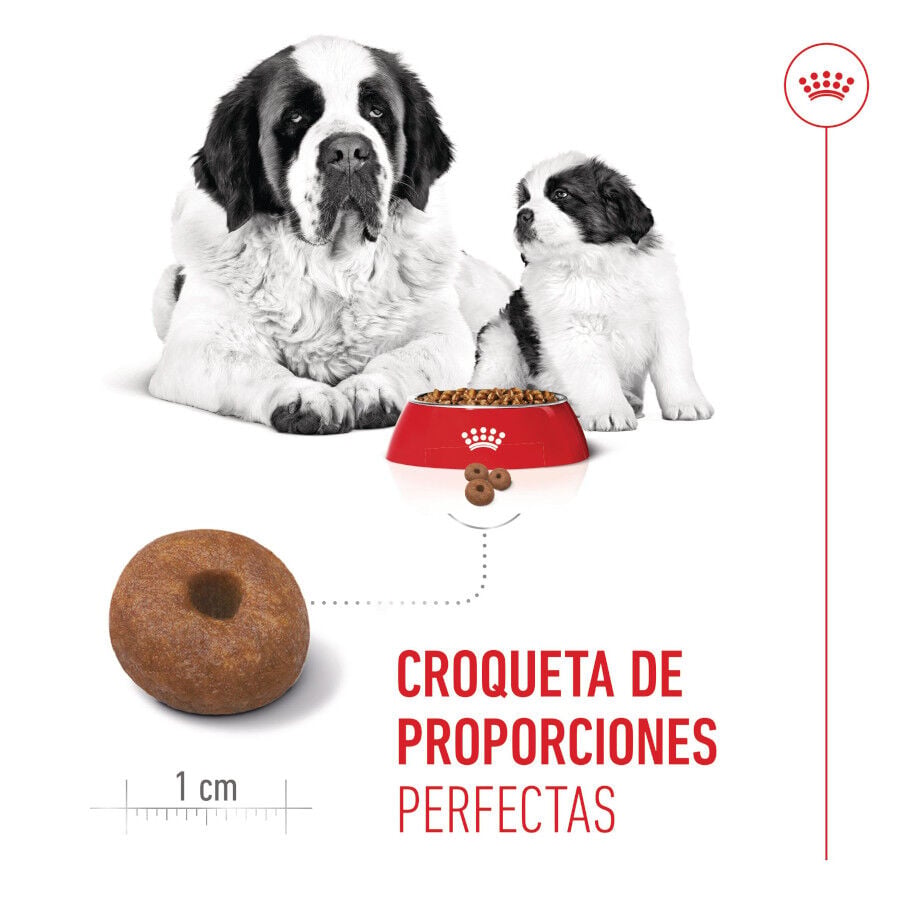 15 kg Royal Canin Starter Puppy Giant Pienso para perros, , large indicador imagen numero 5