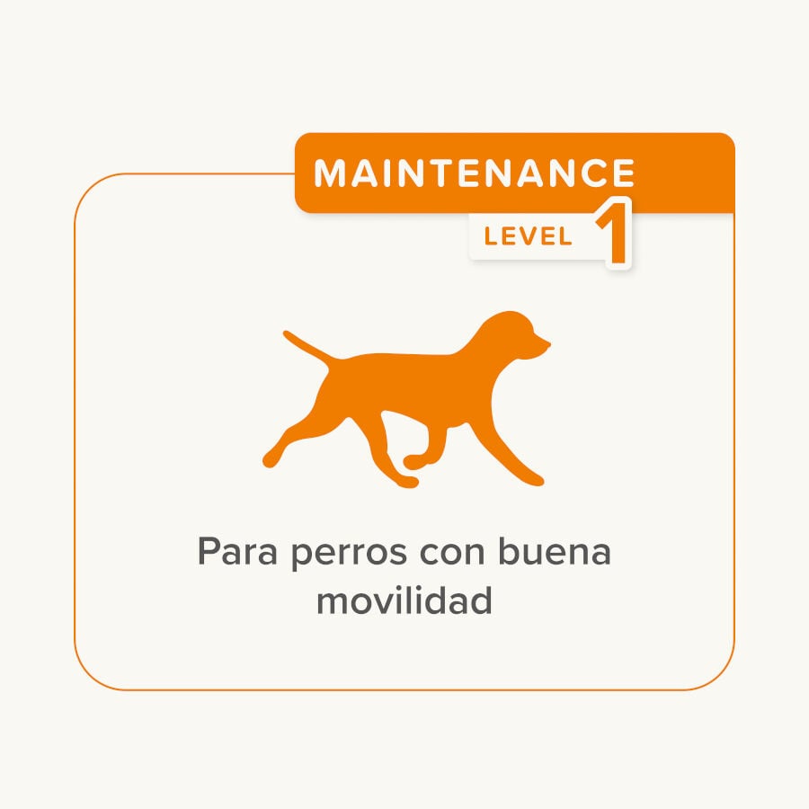 175 g Beaphar Flexifit  Sticks para perros, , large Imagen numero 4