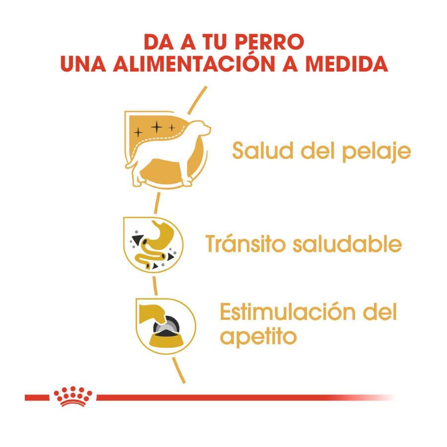 85 g Royal Canin Adult Chihuahua pat&eacute; en sobre para perros, , large indicador imagen numero 6