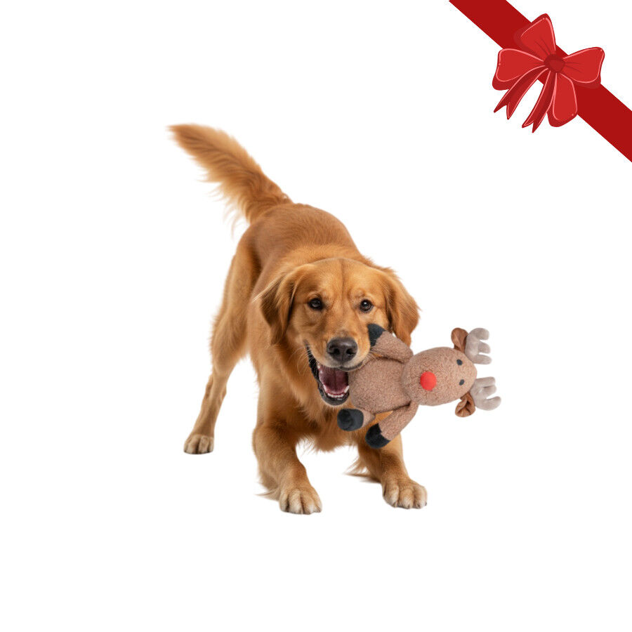 Wonder Christmas Peluche Reno Navide&ntilde;o para perros, , large indicador imagen numero 1