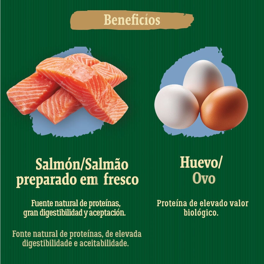 12 kg True Origins Wild Adult Pacific Salm&oacute;n pienso para perros, , large indicador imagen numero 5
