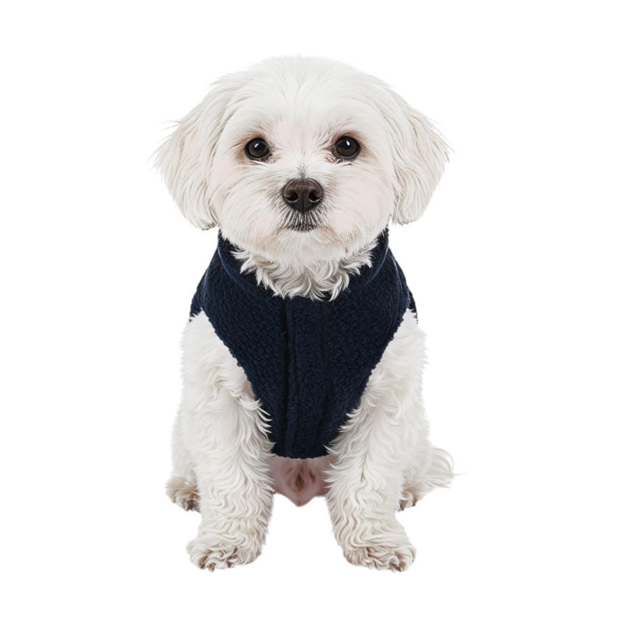 Gotoo Chaqueta Azul y Gris para perros, , large indicador imagen numero 7