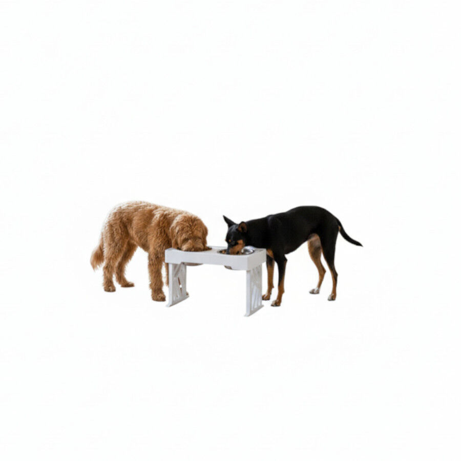 All For Paws Multi Height Comedero Doble para perros  y gato, , large Imagen numero 3