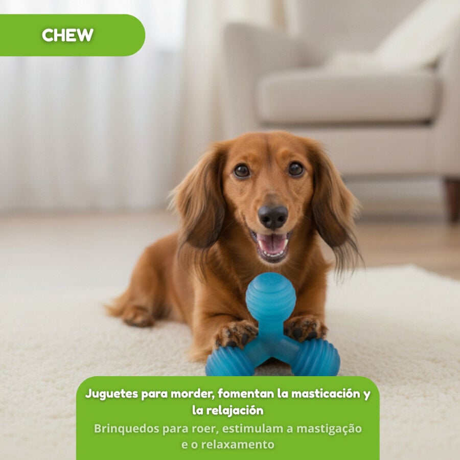 Tootoy! Mordedor de Pelotas en Tri&aacute;ngulo Azul para perros, , large indicador imagen numero 5