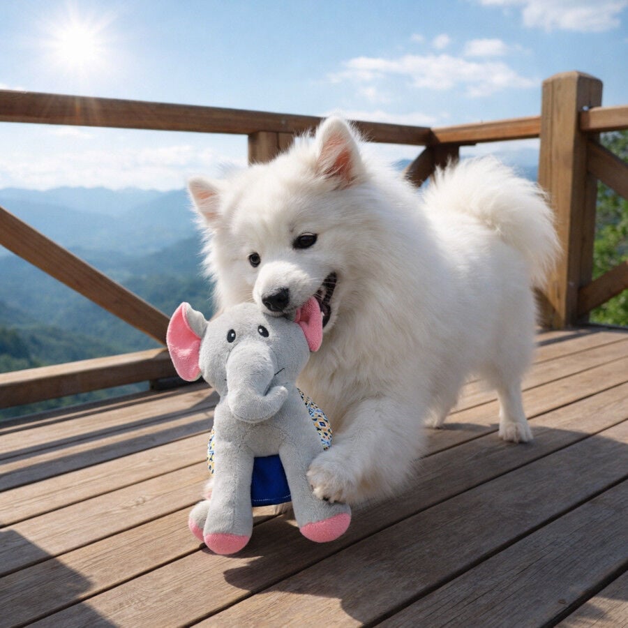 Summer Vibes Elefante Dolce Vita  Peluche para perros, , large Imagen numero 1
